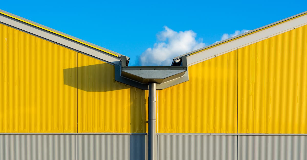 Gutter Repair service