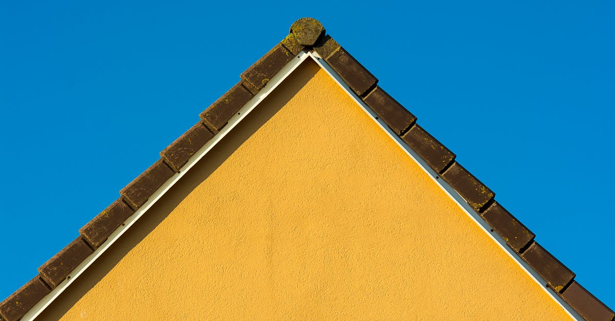 Roof Maintenance service