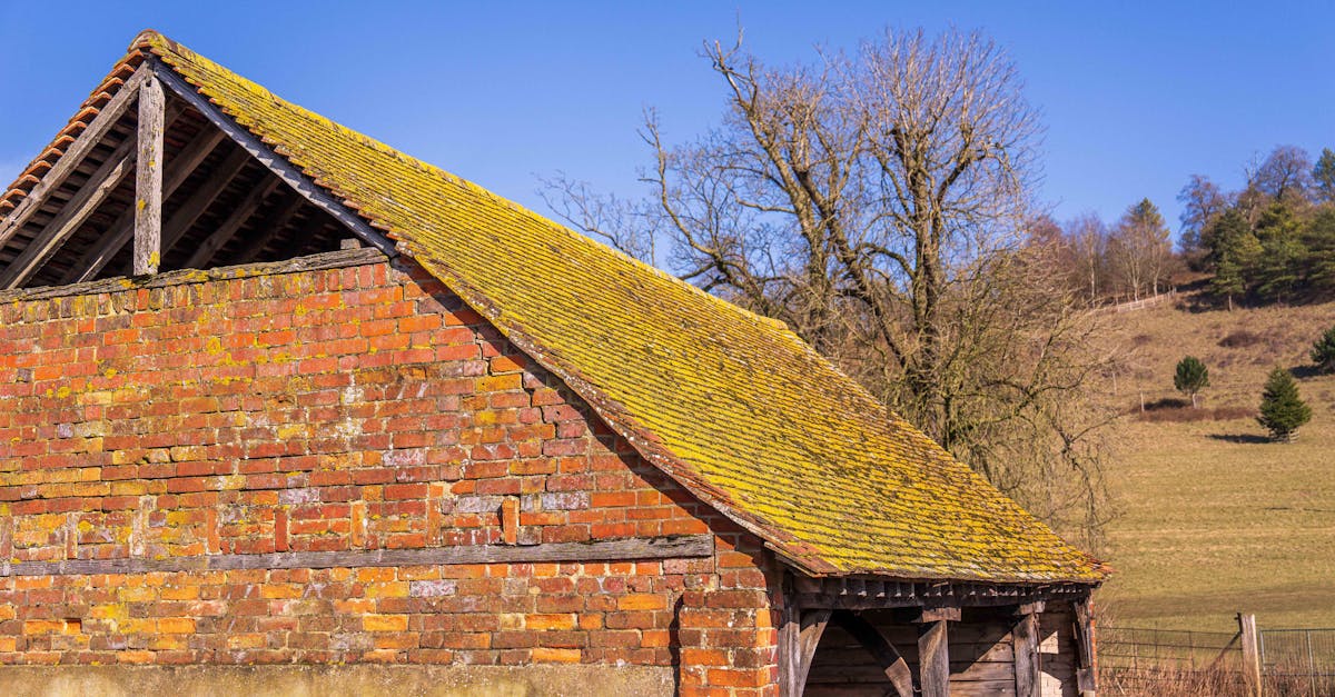 Roof Replacement service